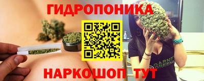 apvp Пушкино