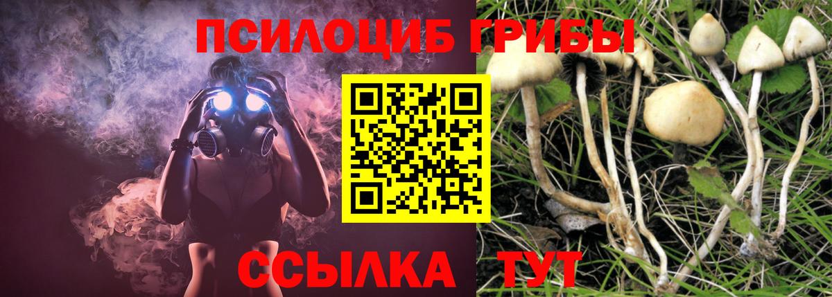 Псилоцибиновые грибы GOLDEN TEACHER  Псилоцибиновые грибы мицелий  Вход с VPN  Тара 